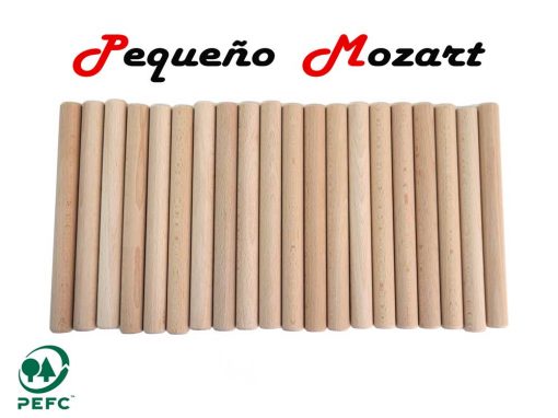 Claves musicales Pequeño Mozart 1 - Instrumento